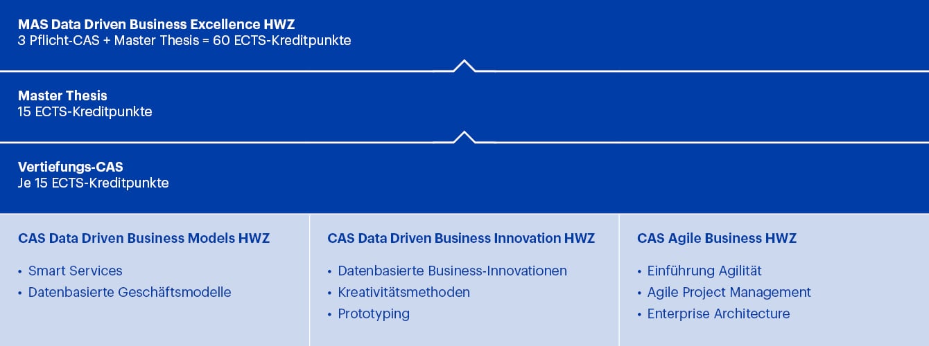 Aufbau MAS Data Driven Business Excellence HWZ