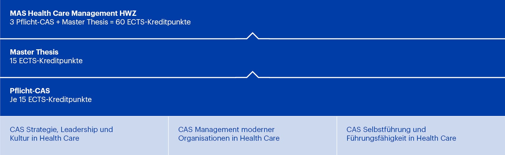 Modulaufbau MAS Health Care Management HWZ