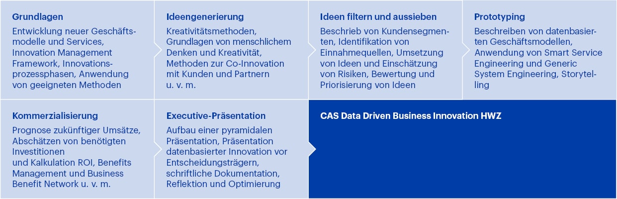 Modulaufbau CAS Data Driven Business Innovation HWZ
