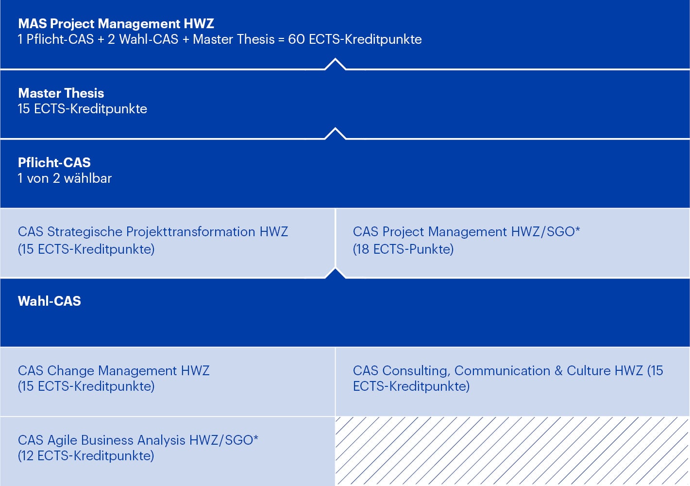 Modulaufbau MAS Project Management HWZ