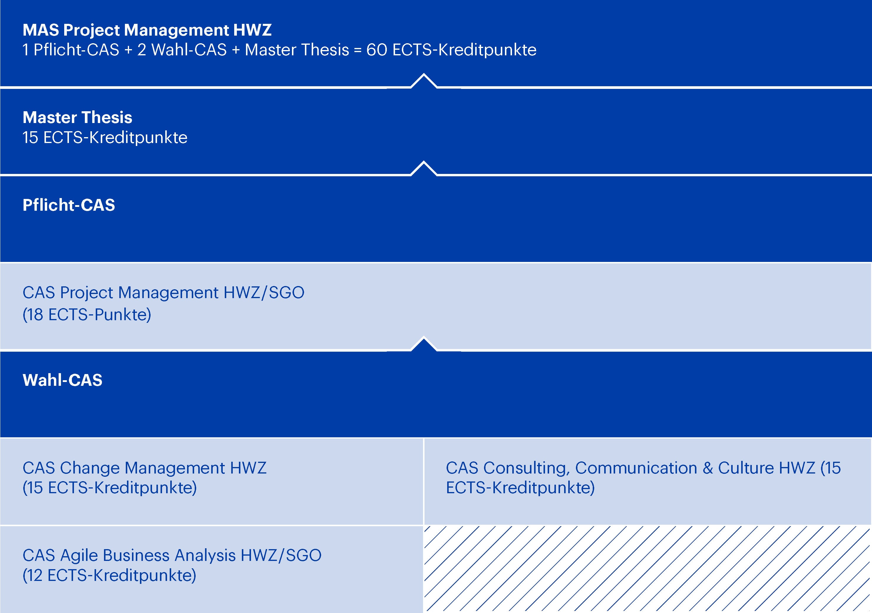Modulaufbau MAS Project Management HWZ