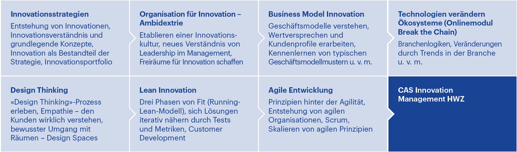 Grafik Business Model Innovation - CAS Innovation Management - HWZ