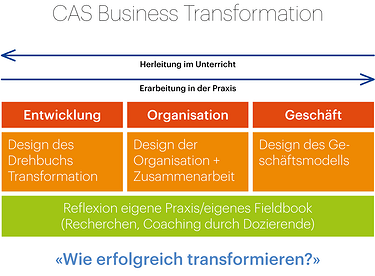 Grafik CAS Business Transformation